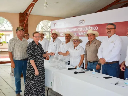 Llevan Programa de Mejoramiento Genético al municipio de Aldama 6 de Mayo 2025 Aldama, Tamaulipas. – En el marco de los festejos por el 235 aniversario de la fundación del municipio de Aldama, Tamaulipas, se llevó a cabo con gran éxito el Evento de Mejoramiento Genético 2025, una iniciativa que forma parte del Programa de Apoyo al Desarrollo Productivo y Económico, específicamente en el rubro de mejoramiento genético mediante la adquisición de sementales bovinos, ovinos y caprinos. El evento fue encabezado por el subsecretario de Desarrollo Pecuario y Forestal, Cuauhtémoc Amaya García, quien acudió en representación del secretario de Desarrollo Rural, Pesca y Acuacultura, Antonio Varela Flores. Durante el programa se ofertaron un total de 87 sementales bovinos con registro, provenientes de 10 criadores de prestigio, con el objetivo de fortalecer la calidad genética del hato ganadero regional.