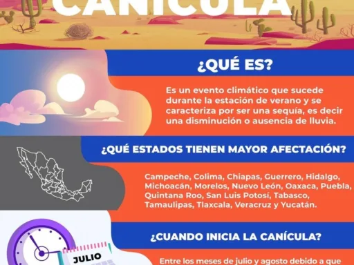 Canícula en Tamaulipas: ¿cuándo llegará y cómo prepararse ante el calor extremo?