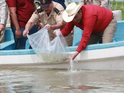 Gobierno de Tamaulipas trabaja en la recuperación de especies en los sistemas lagunarios de la región