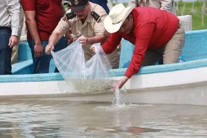 Gobierno de Tamaulipas trabaja en la recuperación de especies en los sistemas lagunarios de la región