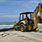Limpieza de Playa Miramar