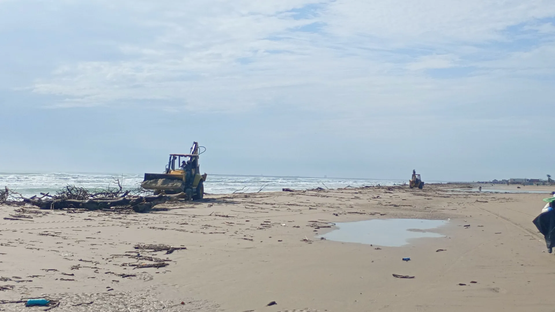 Limpieza de Playa Miramar