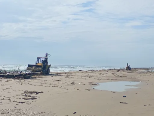 Limpieza de Playa Miramar