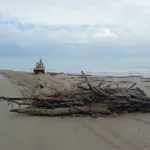 Limpieza de Playa Miramar