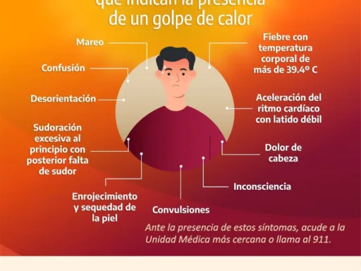 Salud emite alerta por calor extremo en Tamaulipas y pide cuidar a los más vulnerables