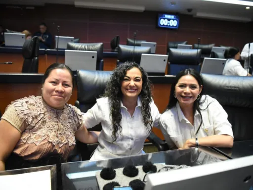 Reforma de Olga Sosa Protege y Conserva el Patrimonio Bibliográfico Indígena