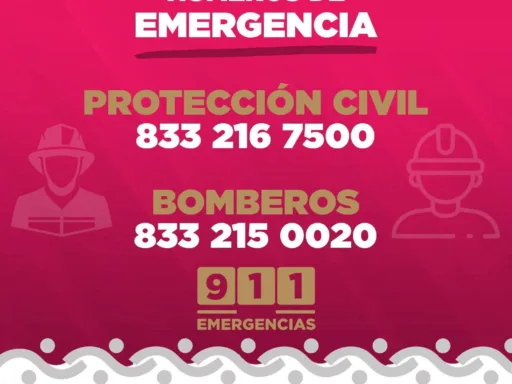Precauciones por Avistamientos de Cocodrilos en Ciudad Madero