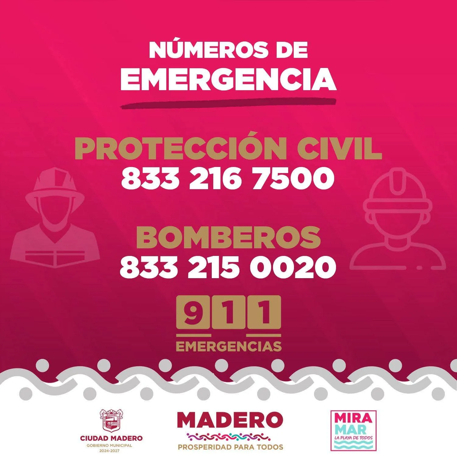 Precauciones por Avistamientos de Cocodrilos en Ciudad Madero