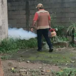 Dengue en Madero