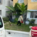 Dengue en Madero