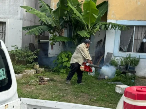 Dengue en Madero