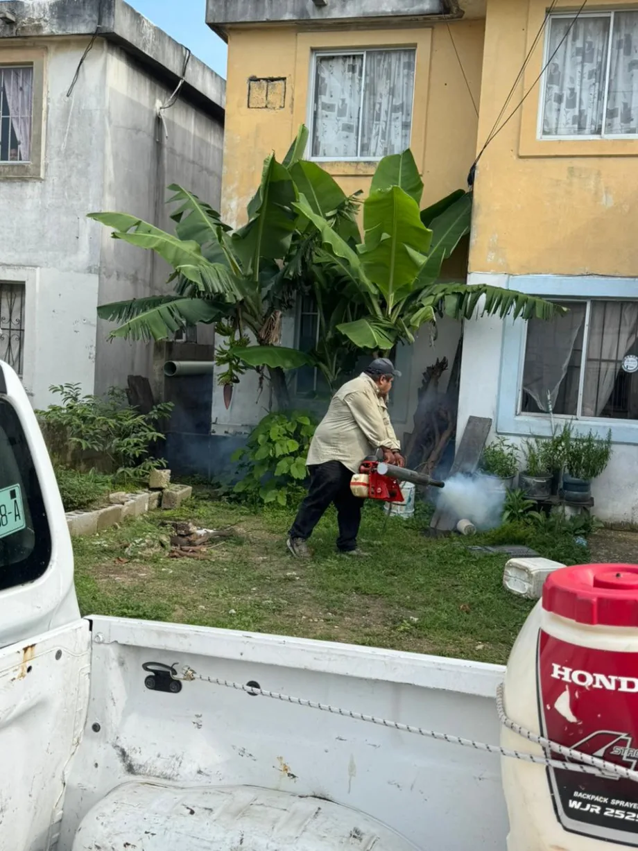 Dengue en Madero