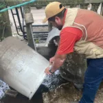Dengue en Madero