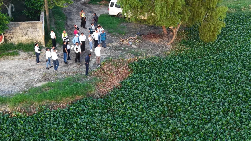 Desazolve en Lagunas