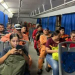 Transporte Gratuito