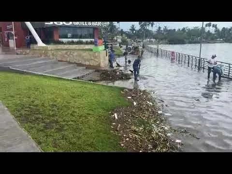 Refuerzan vigilancia y captura de cocodrilos en la margen del río en Ciudad Madero