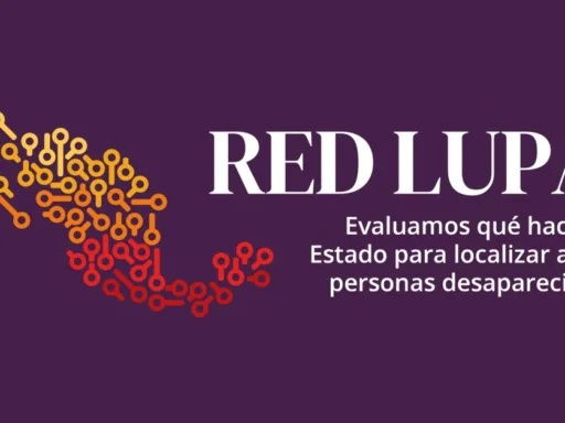 Tamaulipas, segundo estado con más desapariciones en 2025 según RED LUPA