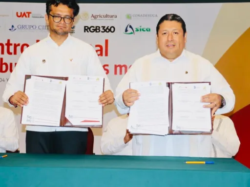 Transición Energética