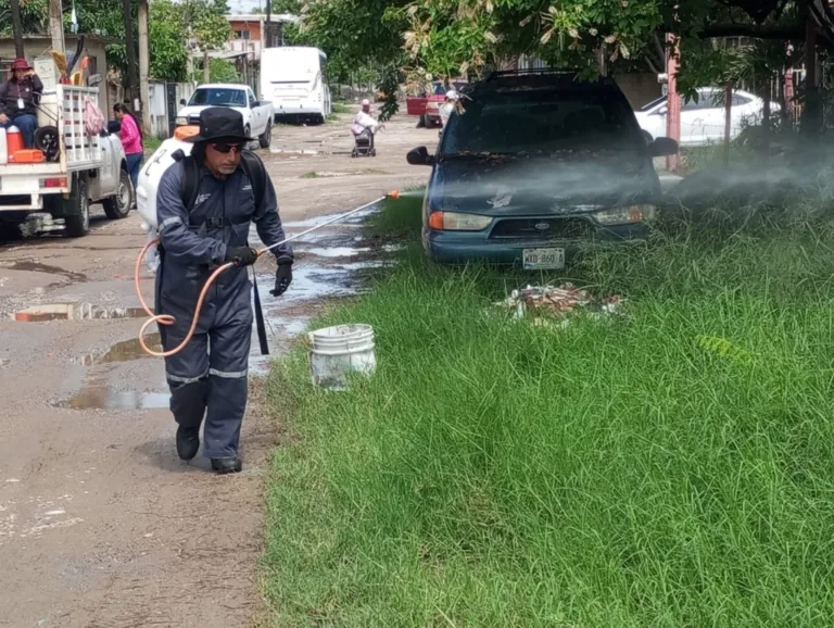 Dengue amenaza zona sur tras lluvias recientes