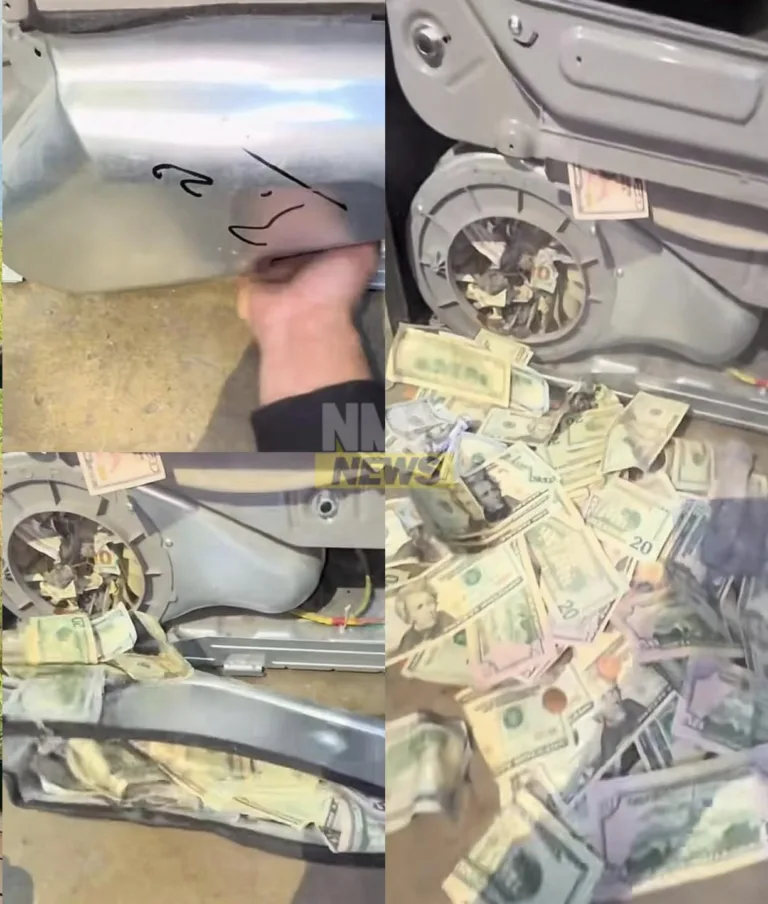 Compró secadora usada y encontró dinero escondido en su interior