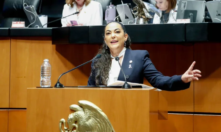 Senado aprueba reforma de Olga Sosa sobre protección de datos personales